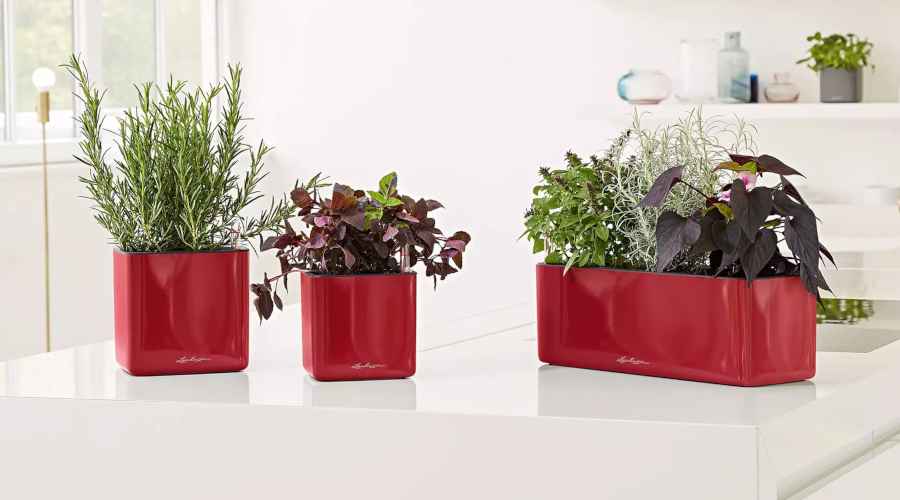 Planted Pots CUBE Glossy Triple LECHUZA